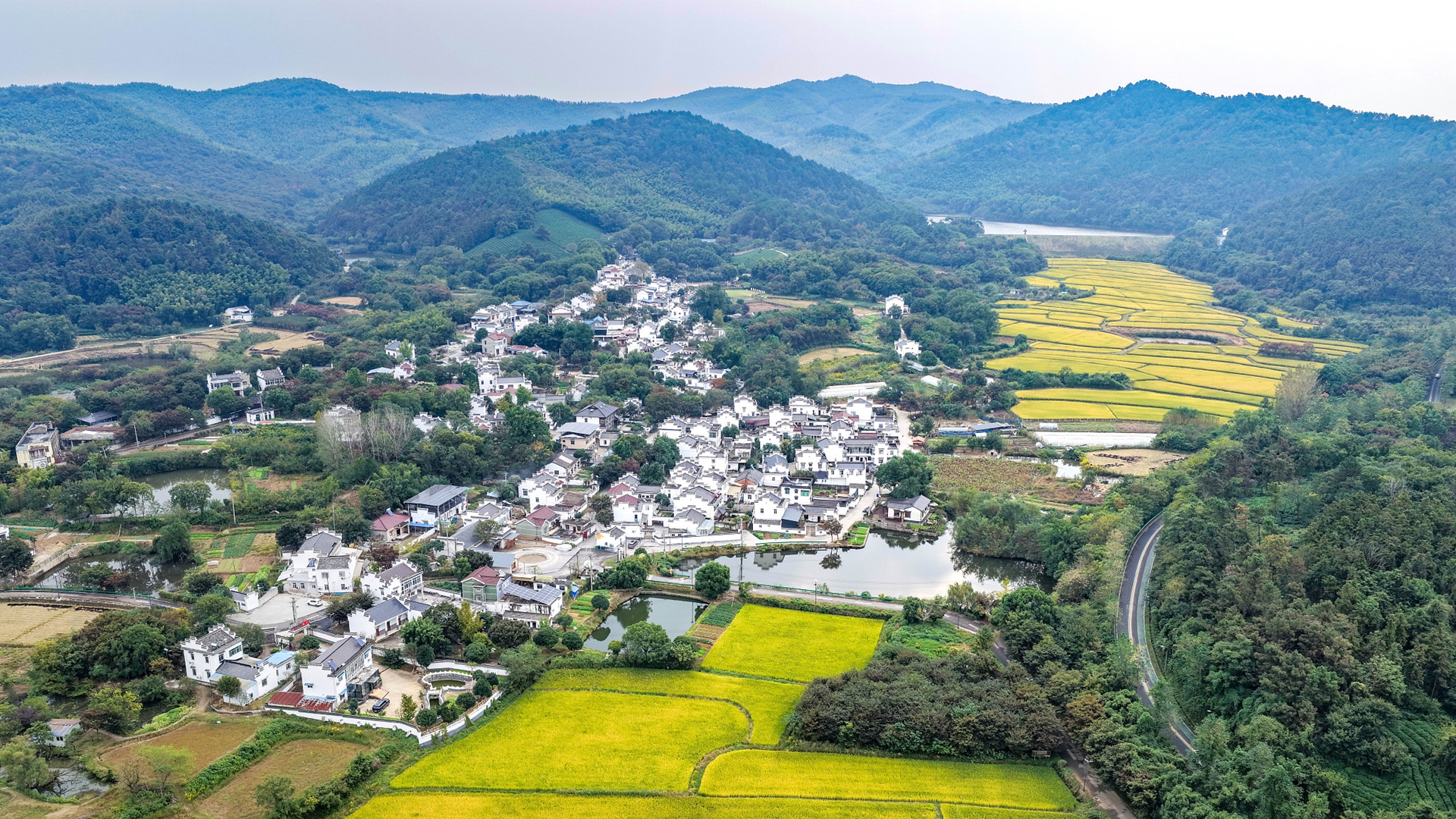 马鞍山：秋染田园入画来