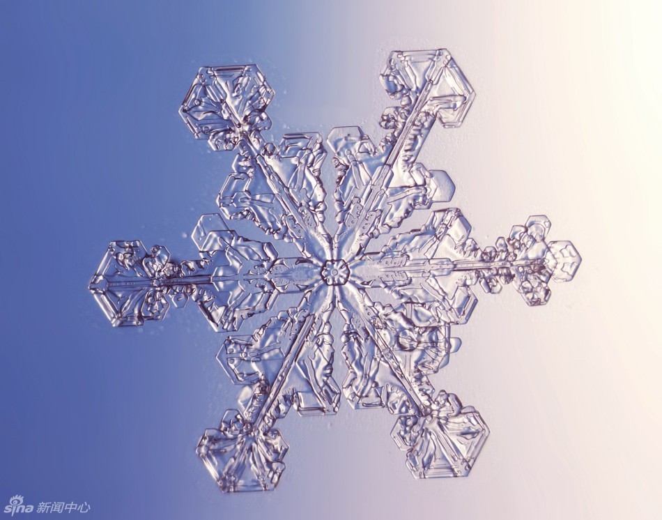 显微镜下的北京六瓣雪花