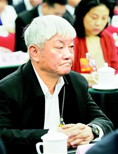 代表叶昌保农民的事我说不完