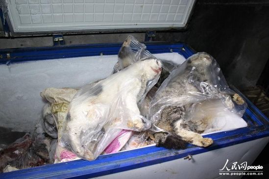 黑窝点将猫放冷柜活活冻死用猫肉充兔肉出售图