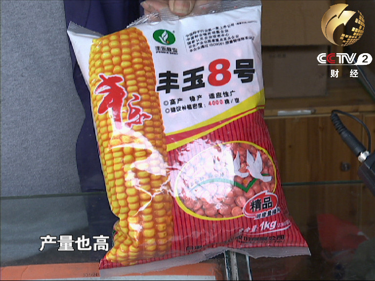 湘乡市玉米种子销售量增长百分之二三十