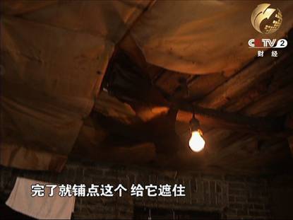 张彩霞家用油纸贴住的屋顶