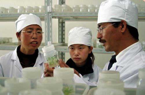 尼玛扎西（右一）：西藏自治区农牧科学院党委副书记、院长