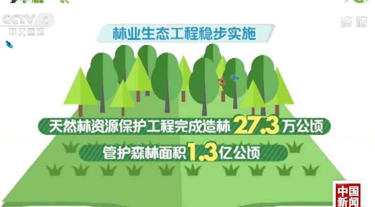 林业生态工程稳步实施,天然林资源保护工程完成造林27.