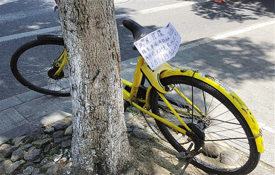 押金退不了借车也很难 曾满大街的小黄车去哪儿了