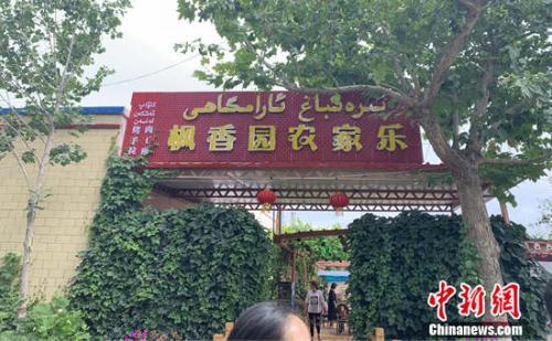 美丽乡村养成记：葡萄架下农家乐 开云APP 开云官网入口杏花林里畅快游(图3)