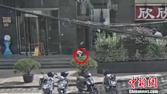 名贵宝石遭“丢弃” 上海上演“最贵”干垃圾