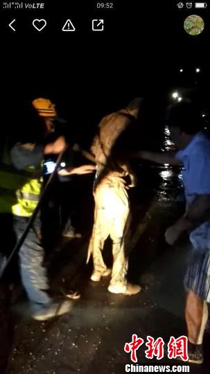 暴雨夜轿车坠河 11名“90后”铁路青年勇救落水者