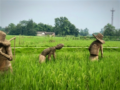 成都安仁古镇：服务业类产业功能区怎么建
