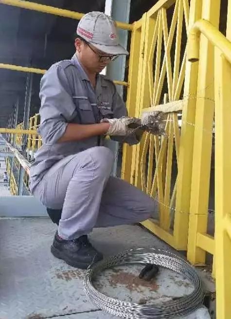 这是一群连台风也吹不走的青年