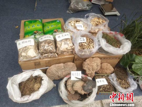 大山深处的村医路：赤脚畲医行医三十余载