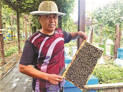 从业人员4000余名 密云成北京最大“天然蜂场”
