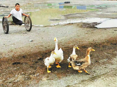 阳光下的车轮男孩：我有我的梦想