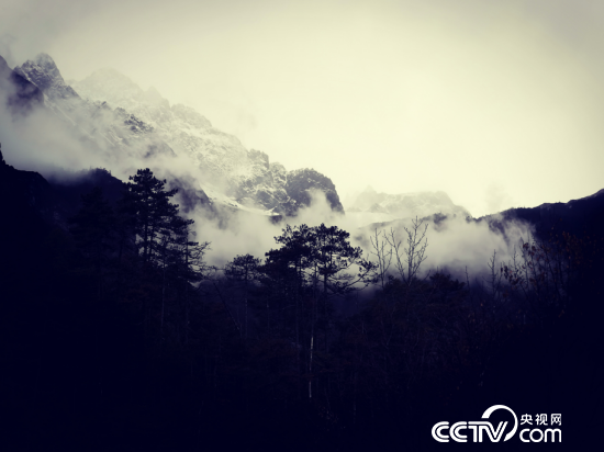 玉龙雪山核心区是长江上游最重要的生态屏障。（何川/摄）