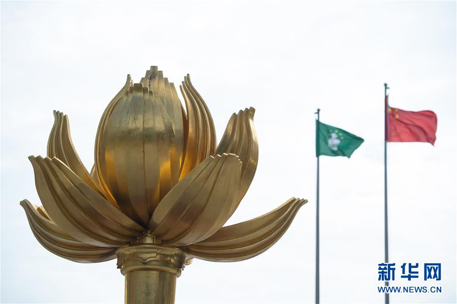 这是澳门金莲花广场上的《盛世莲花》雕塑（12月13日摄）。新华社记者 张金加 摄