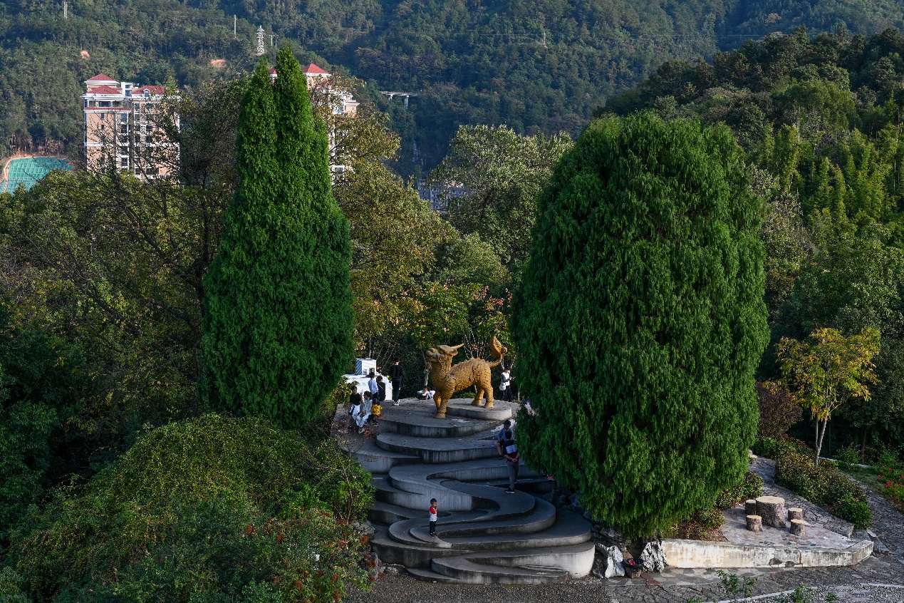 2020年11月22日，三明市麒麟山公园，市民在麒麟雕像前游玩。
