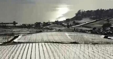瑞士拉沃：雪后梯田葡萄园美如画 这里盛产的葡萄酒近5%出口中国