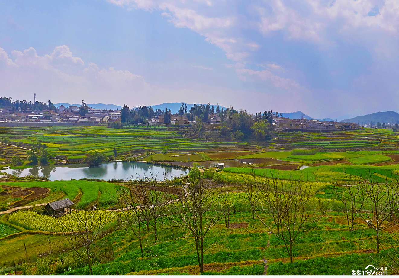 云南腾冲清水中寨司莫拉佤族村是全国第二批“中国少数民族特色村寨”，正在绘就美丽乡村新画卷。