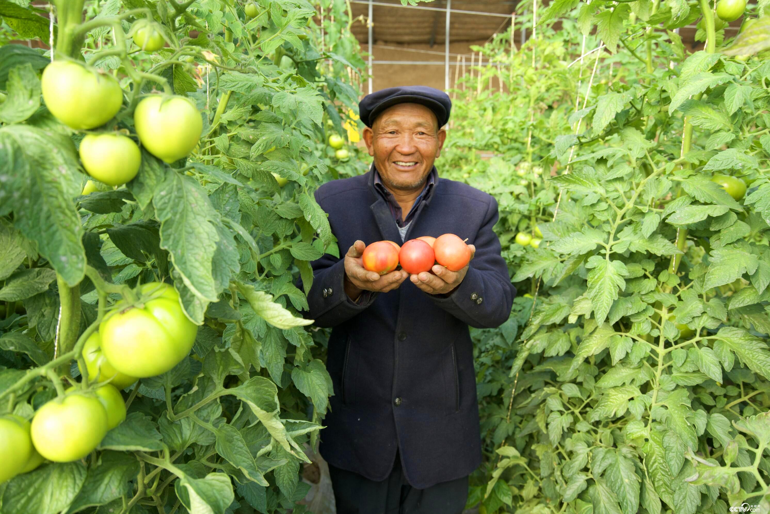 甘肃省武威市古浪县富民新村村民李应川.