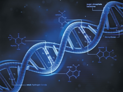 基因医学、个体化治疗、靶向干预……抗癌新纪元正悄然开启