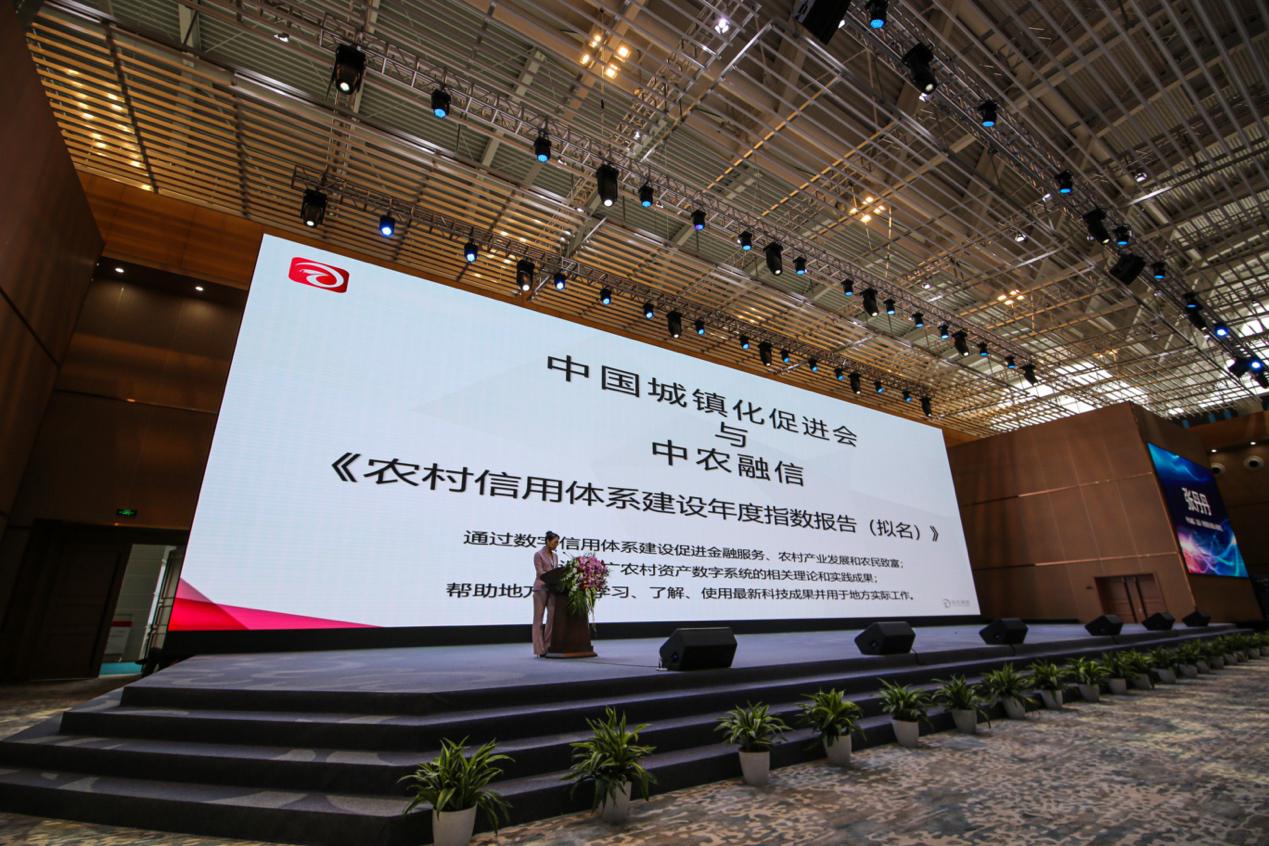 中国新城农村_开创乡村振兴新模式_推动农村资产数字化