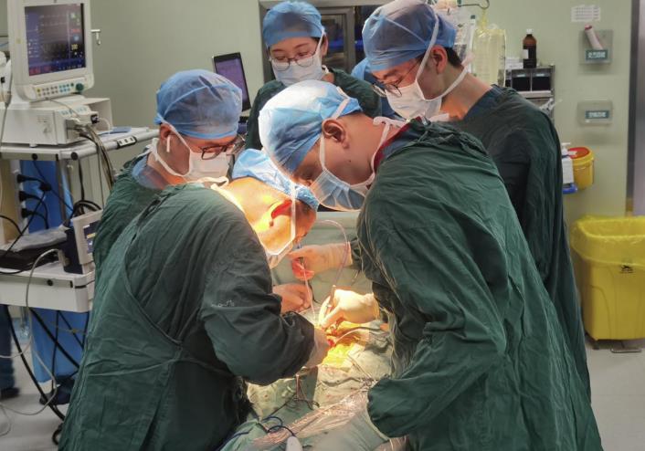 医生在进行器官移植手术