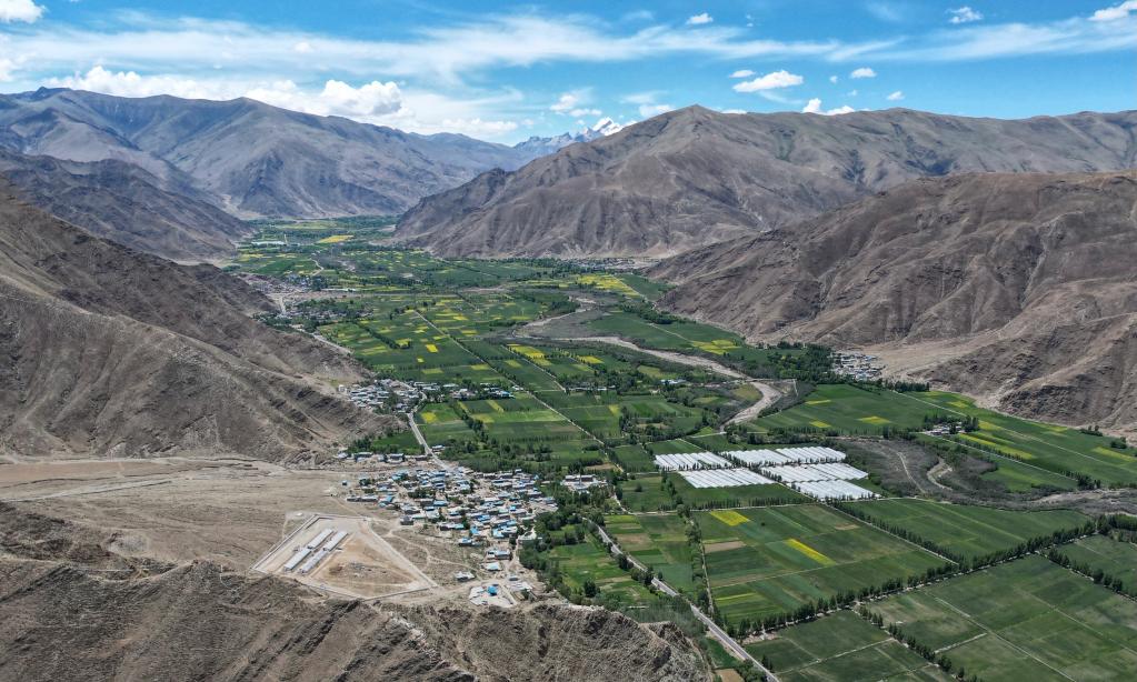 这是西藏山南市乃东区的农田（无人机照片，6月24日摄）。新华社记者 司源 摄