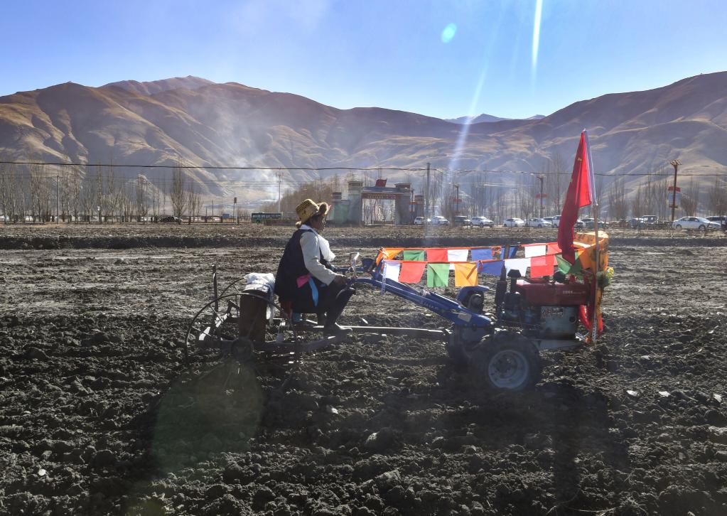 　　西藏“民主改革第一村”克松社区居民在参加春耕仪式（3月16日摄）。新华社记者 孙瑞博 摄