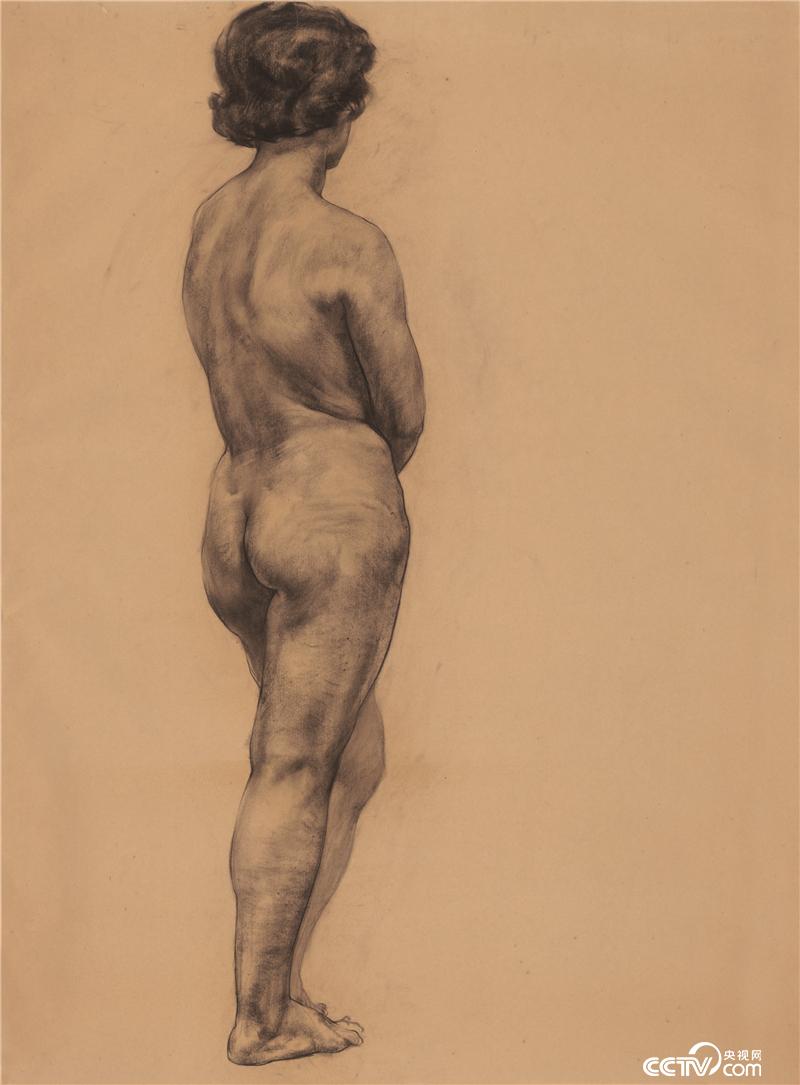 人体素描 曹春生 素描 110x80cm 1978年 中国美术馆藏