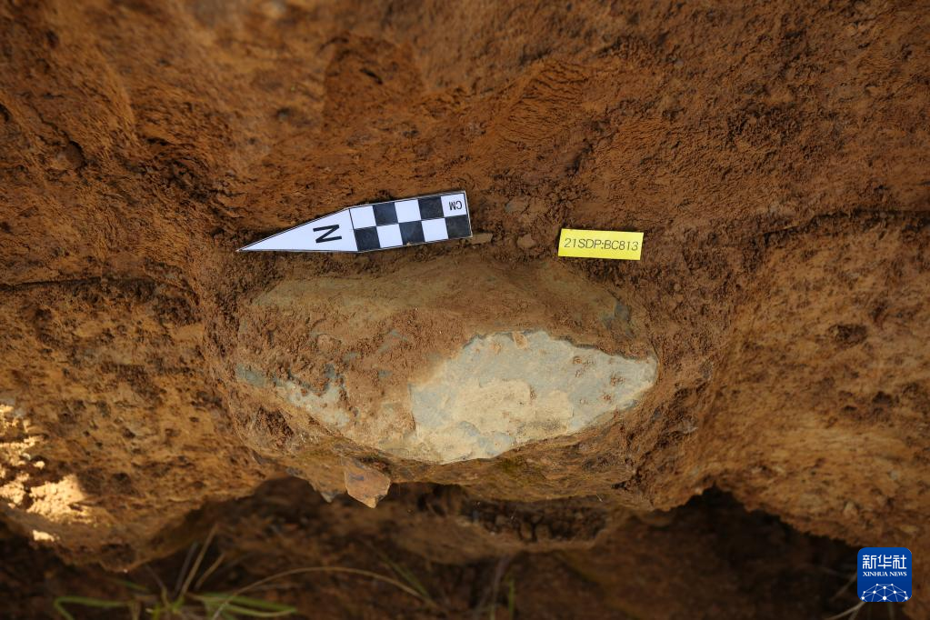 在四川稻城县皮洛旧石器时代遗址发现的薄刃斧（资料图）。