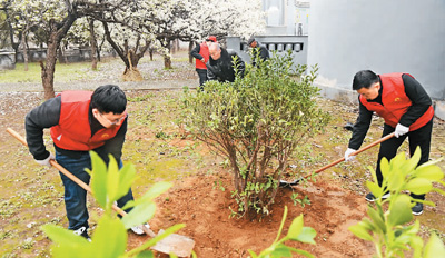 3月30日，人们在河北省邯郸市广平县革命烈士陵园植树。程学虎 摄（人民图片）