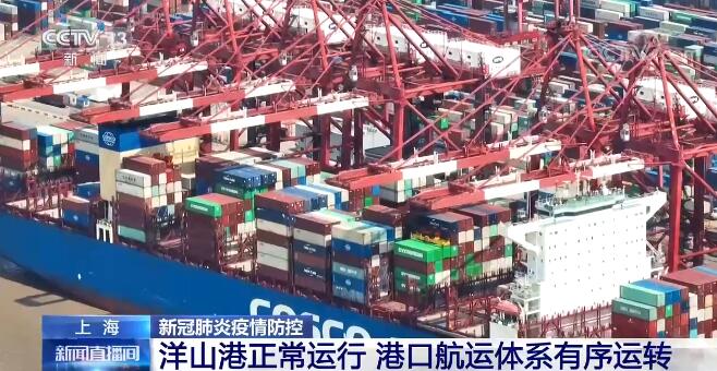 上海洋山港正常运行 港口航运体系有序运转