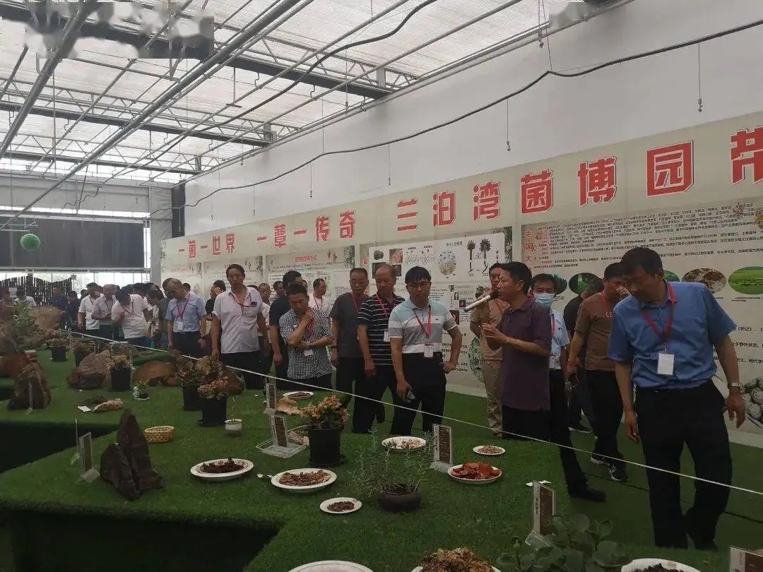 “万人示范培训班”（驻村第一书记培训班）一行120余人 到北京市顺义区北郎中村进行实践教学