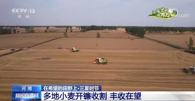 【在希望的田野上·三夏时节】河南多地开镰收割 小麦丰收在望_新闻频道_央视网(cctv.com)