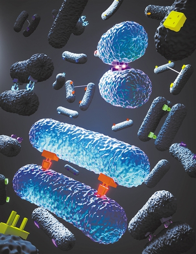 伦敦帝国理工学院研究人员发现细菌交换DNA并产生耐药性的新细节