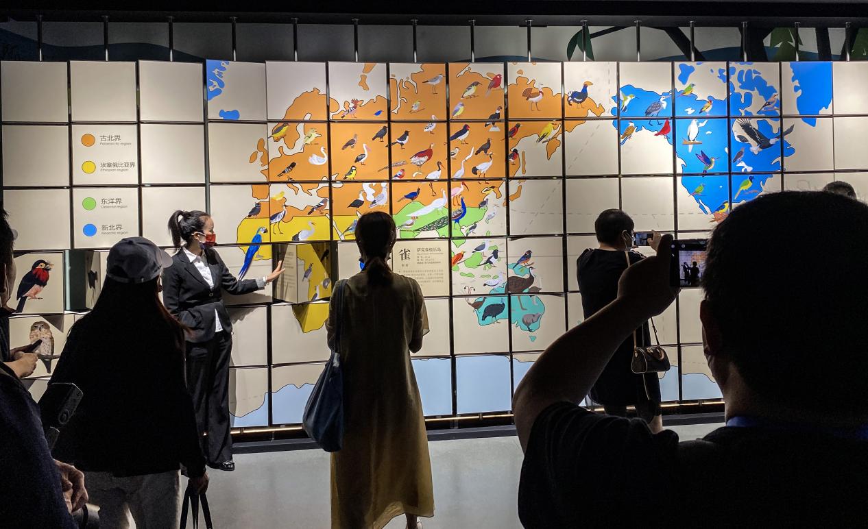 游客参观艾雅康鸟类生态博物馆。