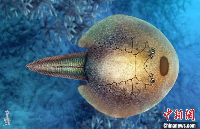 3.9亿年前的东方鱼为何能多存活两千万年？最新研究揭晓答案_海洋频道_