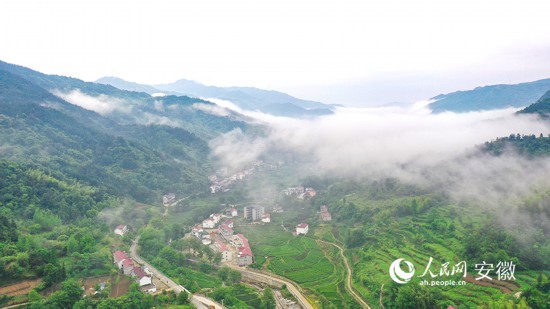 雨后的金寨县大湾村，云雾环绕宛如仙境。人民网 张俊摄