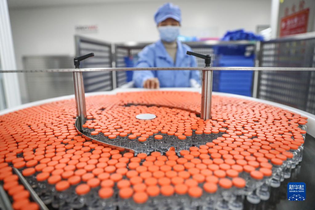 工作人员在科兴中维新冠疫苗包装车间内工作（2021年1月6日摄）。