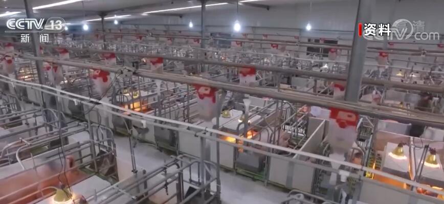 国家发展改革委：关注生猪市场价格变化 做好保供稳价工作