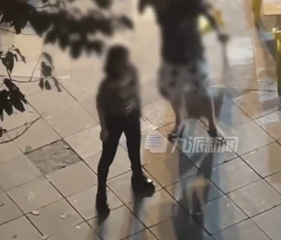 重庆一女子深夜扰民遭群殴 警方：正在调查