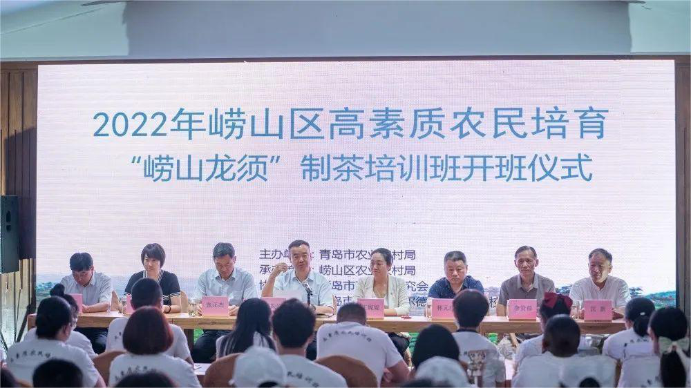 青岛市崂山区“特色培训”发力乡村振兴 助茶产业升级_新闻频道_央视网(cctv.com)