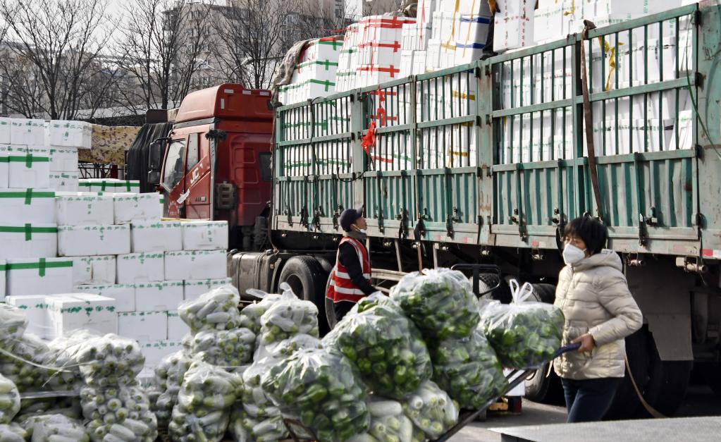 11月28日，北京新发地市场的商户在搬运新鲜蔬菜。新华社记者 李欣 摄