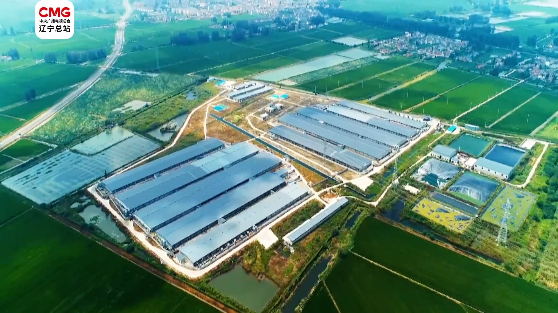 大连｜大宗商品仓单登记中心正式上线_总台东北振兴频道_央视网(cctv.com)