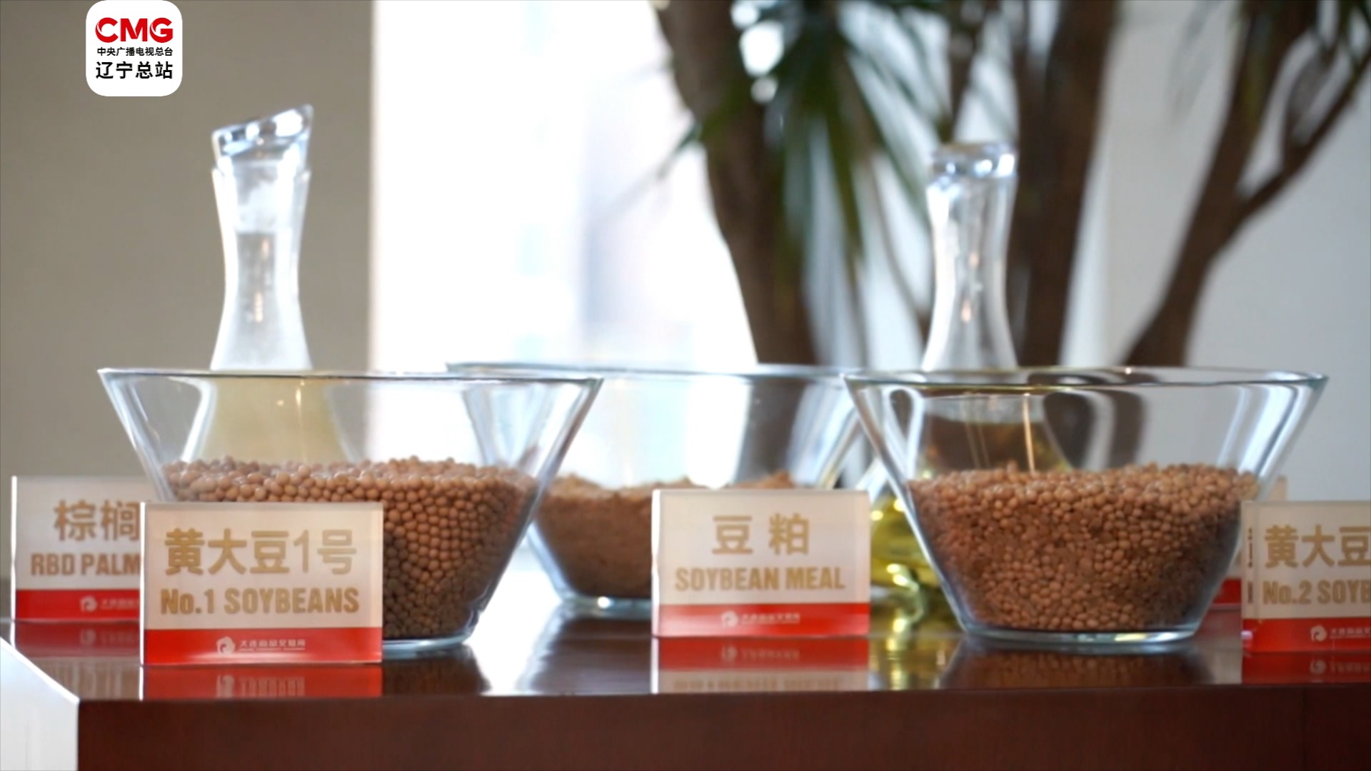 大连大豆系列期货、期权引入境外交易者_总台东北振兴频道_央视网(cctv.com)