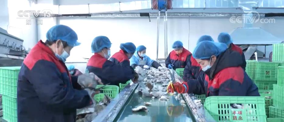 落实好鲜活农产品运输“绿色通道”政策 提升流通效率