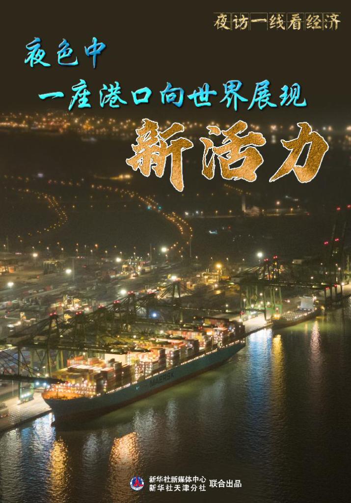 天津港夜晚繁忙景象