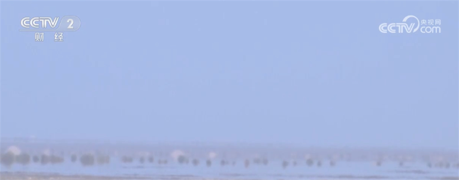 吐鲁番库木塔格沙漠现海市蜃楼，不少游客前来打卡观赏