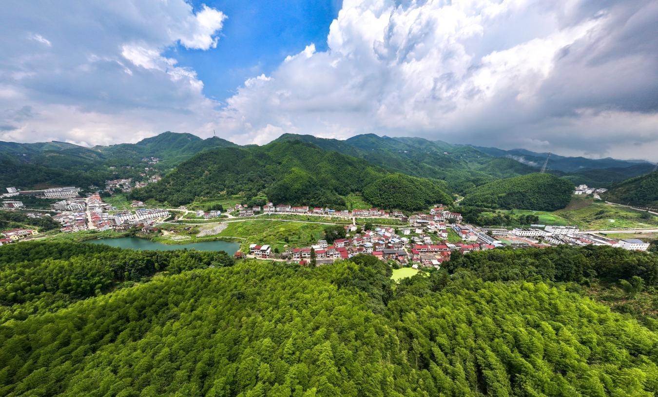 柳坪村全貌