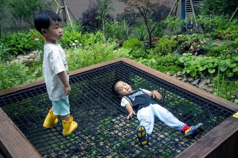 生物多样性优秀案例（10） | 上海长宁区生境花园网络构建_生态环境频道_央视网(cctv.com)